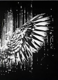Black And Gold Angel Fine Wing Canvas Painting Wall Art Poster (Option: 4style-70x100cm)