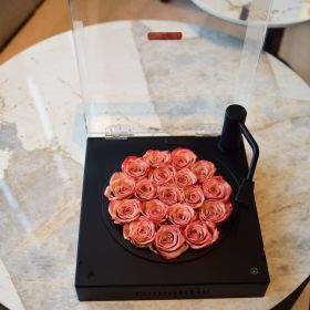 Home Fashion Simple Vintage Birthday Gift Eternal Flowers Phonograph (Option: Cappuccino Black Bottom-USB)