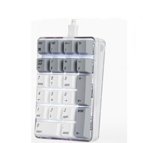 Laptop Desktop Computer 21 Keys Mechanical Numeric Keypad (Option: White Grey-Jadalong Red Shaft-USB)